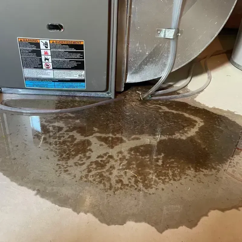 Appliance Leak Cleanup in Effingham, IL